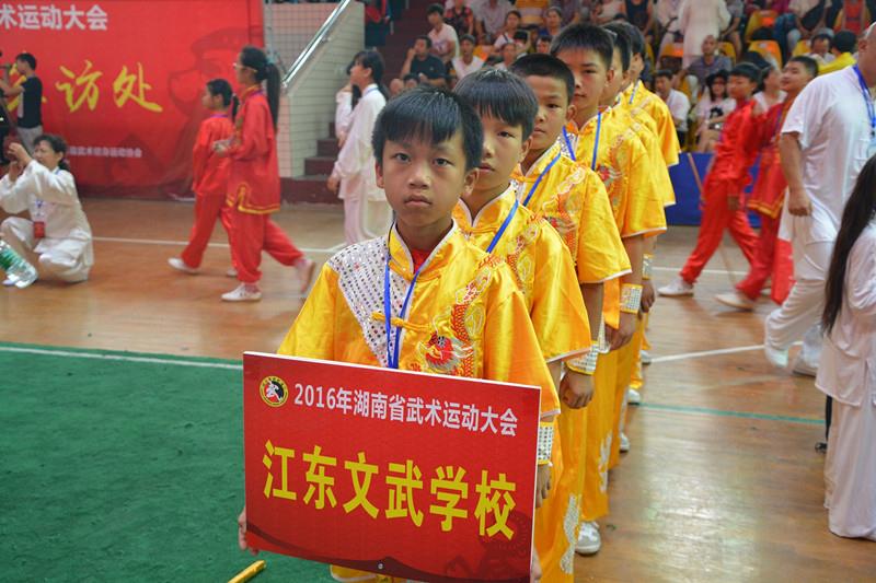 2016年湖南省武术运动大会